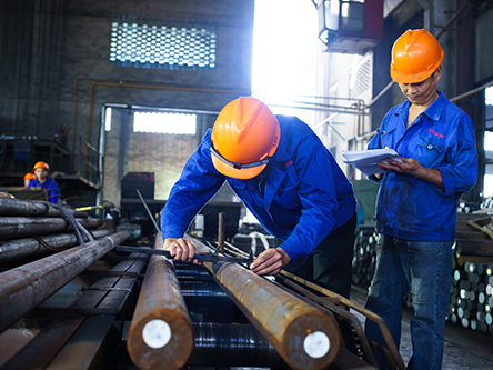 Raw Material Inspector